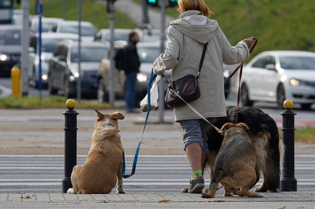 Spacer treningowy w mieście